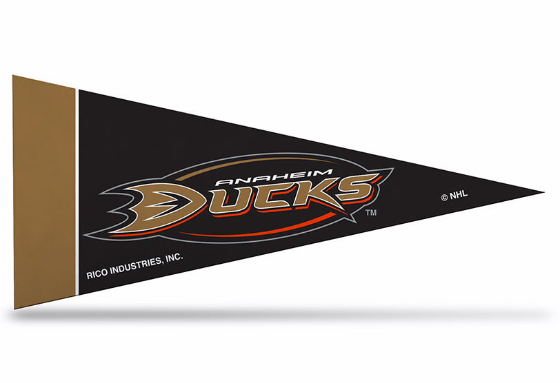 Ducks Mini Pennants Pack